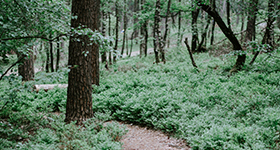 이미지명